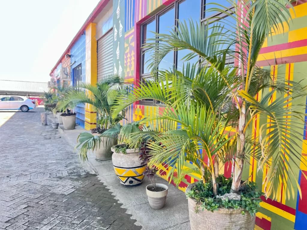Palms in painted pots along the frontage